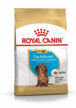 Royal Canin ROYAL CANIN BHN Dachshund Puppy - sucha karma dla szczeniąt - 1,5kg