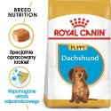 Royal Canin ROYAL CANIN BHN Dachshund Puppy - sucha karma dla szczeniąt - 1,5kg