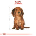 Royal Canin ROYAL CANIN BHN Dachshund Puppy - sucha karma dla szczeniąt - 1,5kg