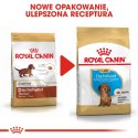 Royal Canin ROYAL CANIN BHN Dachshund Puppy - sucha karma dla szczeniąt - 1,5kg