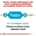 Royal Canin ROYAL CANIN BHN Labrador Puppy - sucha karma dla szczeniąt - 12kg