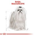 Royal Canin ROYAL CANIN BHN Maltese - sucha karma dla psa - 0,5kg