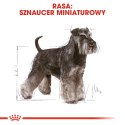 Royal Canin ROYAL CANIN BHN Miniature Schnauzer Adult - sucha karma dla psa dorosłego - 3kg