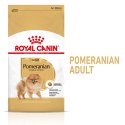 Royal Canin ROYAL CANIN BHN Pomeranian Adult - sucha karma dla psa dorosłego - 3kg