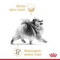 Royal Canin ROYAL CANIN BHN Pomeranian Adult - sucha karma dla psa dorosłego - 3kg