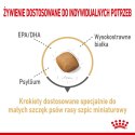 Royal Canin ROYAL CANIN BHN Pomeranian Adult - sucha karma dla psa dorosłego - 3kg