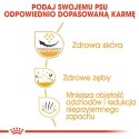 Royal Canin ROYAL CANIN BHN Shih Tzu Adult - sucha karma dla psa dorosłego - 1,5 kg