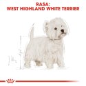 Royal Canin ROYAL CANIN BHN West Highland White Terrier Adult - sucha karma dla psa dorosłego - 3kg