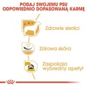 Royal Canin ROYAL CANIN BHN West Highland White Terrier Adult - sucha karma dla psa dorosłego - 3kg