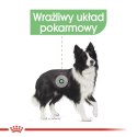 Royal Canin ROYAL CANIN CCN MEDIUM DIGESTIVE CARE - sucha karma dla psa dorosłego - 3kg