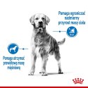 Royal Canin ROYAL CANIN CCN MEDIUM LIGHT WEIGHT CARE - sucha karma dla psa dorosłego - 3kg