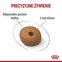 Royal Canin ROYAL CANIN CCN MEDIUM LIGHT WEIGHT CARE - sucha karma dla psa dorosłego - 3kg