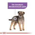 Royal Canin ROYAL CANIN CCN MINI STERILISED - sucha karma dla psa dorosłego - 3kg