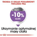 Royal Canin ROYAL CANIN CCN Medium Sterilised - sucha karma dla psa dorosłego - 3kg