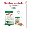 Royal Canin ROYAL CANIN Mini Adult +8 2kg - sucha karma dla psa