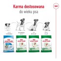 Royal Canin ROYAL CANIN Mini Adult +8 2kg - sucha karma dla psa