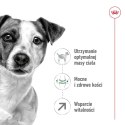 Royal Canin ROYAL CANIN Mini Adult +8 2kg - sucha karma dla psa