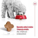 Royal Canin ROYAL CANIN Mini Adult +8 2kg - sucha karma dla psa