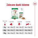 Royal Canin ROYAL CANIN Mini Adult +8 2kg - sucha karma dla psa