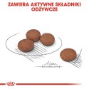 Royal Canin ROYAL CANIN Mini Digestive Care - karma sucha dla psów dorosłych ras małych - 1kg