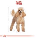 Royal Canin ROYAL CANIN Poodle 1,5kg