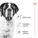 Royal Canin ROYAL CANIN SHN Giant Adult - sucha karma dla psa dorosłego - 15 kg