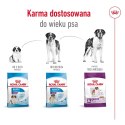 Royal Canin ROYAL CANIN SHN Giant Adult - sucha karma dla psa dorosłego - 15 kg