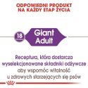 Royal Canin ROYAL CANIN SHN Giant Adult - sucha karma dla psa dorosłego - 15 kg