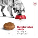 Royal Canin ROYAL CANIN SHN Maxi Adult 5+ - sucha karma dla psa dorosłego - 15 kg