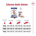 Royal Canin ROYAL CANIN SHN Maxi Adult 5+ - sucha karma dla psa dorosłego - 15 kg