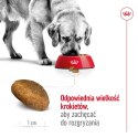 Royal Canin ROYAL CANIN SHN Maxi Adult - sucha karma dla psa dorosłego - 15 kg