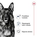 Royal Canin ROYAL CANIN SHN Maxi Adult - sucha karma dla psa dorosłego - 15 kg