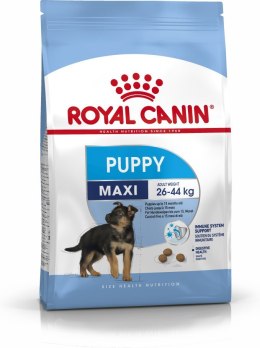 Royal Canin ROYAL CANIN SHN Maxi Puppy - sucha karma dla szczeniąt - 4kg