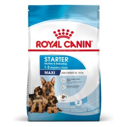 Royal Canin ROYAL CANIN SHN Maxi Starter Mother & Babydog - sucha karma dla psa - 4 kg