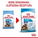 Royal Canin ROYAL CANIN SHN Maxi Starter Mother & Babydog - sucha karma dla psa - 4 kg