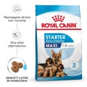 Royal Canin ROYAL CANIN SHN Maxi Starter Mother & Babydog - sucha karma dla psa - 4 kg