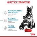 Royal Canin ROYAL CANIN SHN Maxi Starter Mother & Babydog - sucha karma dla psa - 4 kg