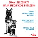 Royal Canin ROYAL CANIN SHN Maxi Starter Mother & Babydog - sucha karma dla psa - 4 kg