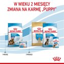 Royal Canin ROYAL CANIN SHN Maxi Starter Mother & Babydog - sucha karma dla psa - 4 kg