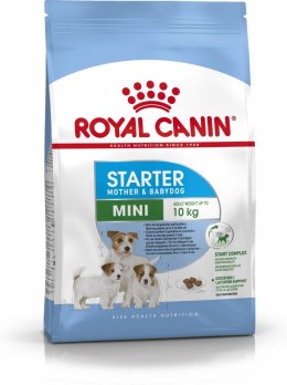 Royal Canin ROYAL CANIN Starter Mini Mother & Babydog - sucha karma dla szczeniąt i suk w ciąży oraz okresie laktacji - 1 kg