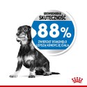 Royal Canin Royal Canin CCN MINI LIGHT WEIGHT CARE - sucha karma dla psa dorosłego - 3kg