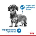 Royal Canin Royal Canin CCN MINI LIGHT WEIGHT CARE - sucha karma dla psa dorosłego - 3kg