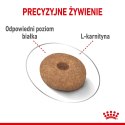 Royal Canin Royal Canin CCN MINI LIGHT WEIGHT CARE - sucha karma dla psa dorosłego - 3kg