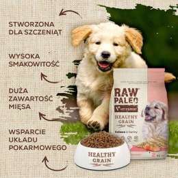 VetExpert VetExpert Raw Paleo Healthy Grain Salmon&Barley Puppy - Karma sucha dla psów - 2kg