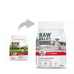 VetExpert VetExpert Raw Paleo Ultra Wołowina Mini Puppy 750g