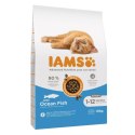 IAMS IAMS Kitten Ocean Fish - sucha karma dla kota - 10 kg