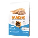 IAMS IAMS Kitten Ocean Fish - sucha karma dla kota - 10 kg