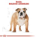 Royal Canin ROYAL CANIN BHN Bulldog Adult - sucha karma dla psa dorosłego rasy bulldog - 12 kg