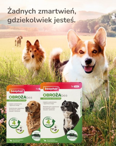 Beaphar Beaphar obroża ochronna na kleszcze pchły dla psa rozm.S Beaphar Beaphar obroża ochronna na kleszcze pchły dla psa rozm.S