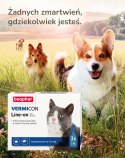 Beaphar BEAPHAR VERMIcon Line-on Cat - krople przeciw pasożytom dla kota - 3x 1ml